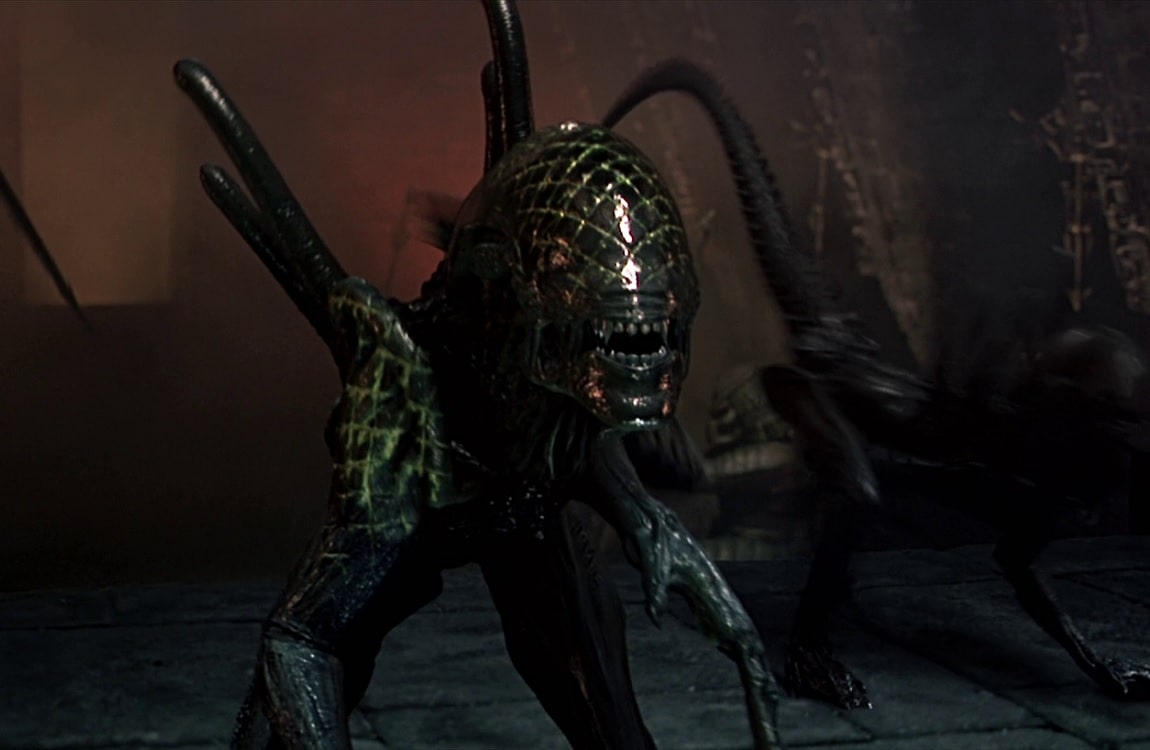 The Grid Alien is an Alpha Xenomorph that leads others