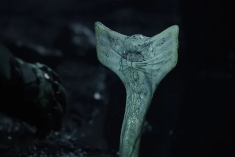 The Hammerpede from Prometheus