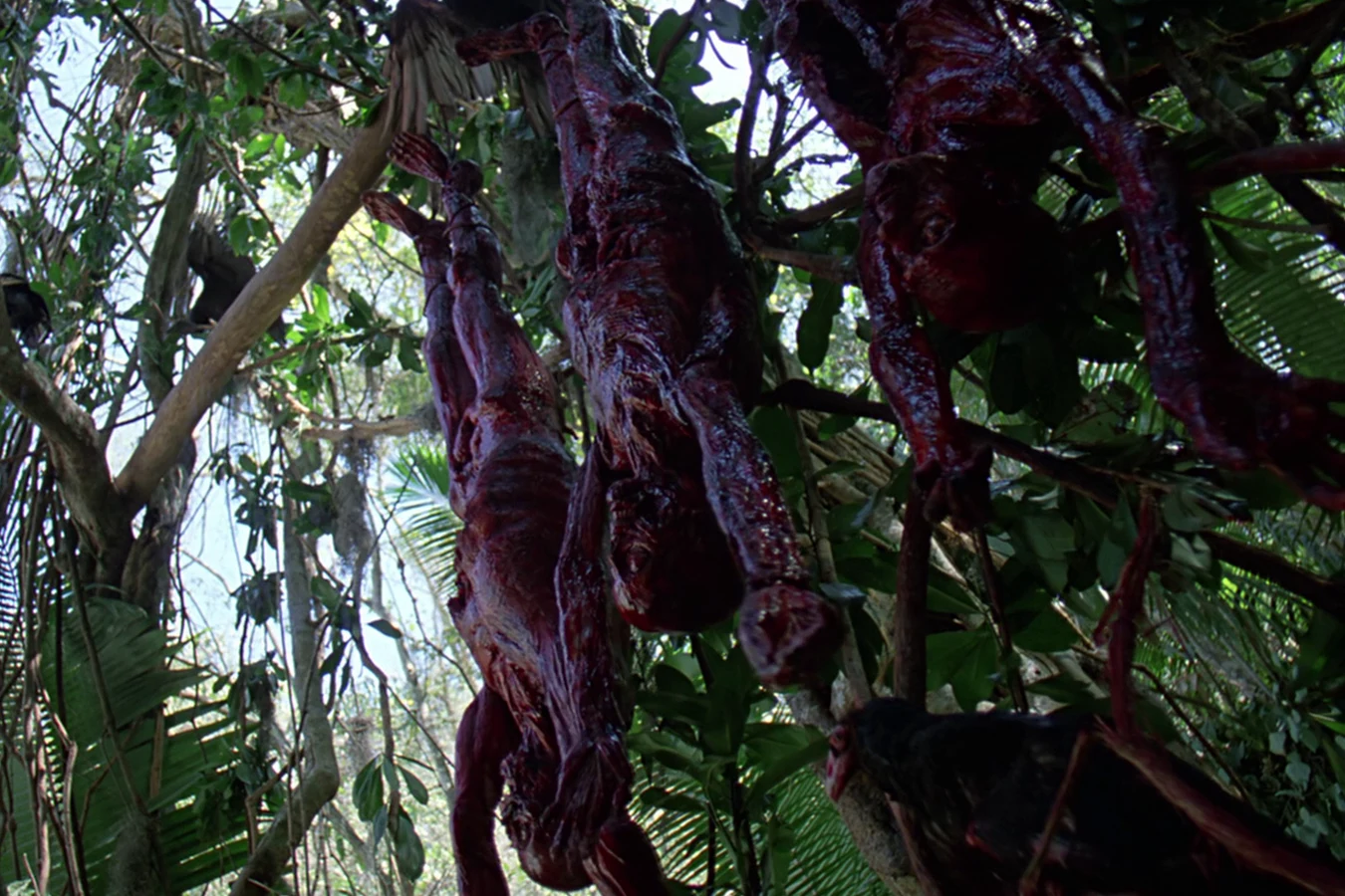 Three skinned bodies from Hopper's team hanging in the trees in Predator