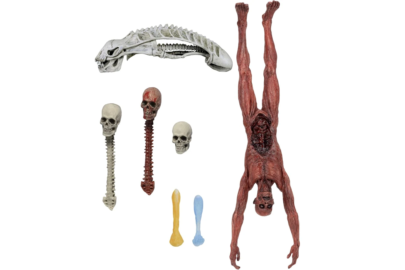 NECA Predator Deluxe Accessory Pack with the skinned body, skulls, spines, and plasma blast effects