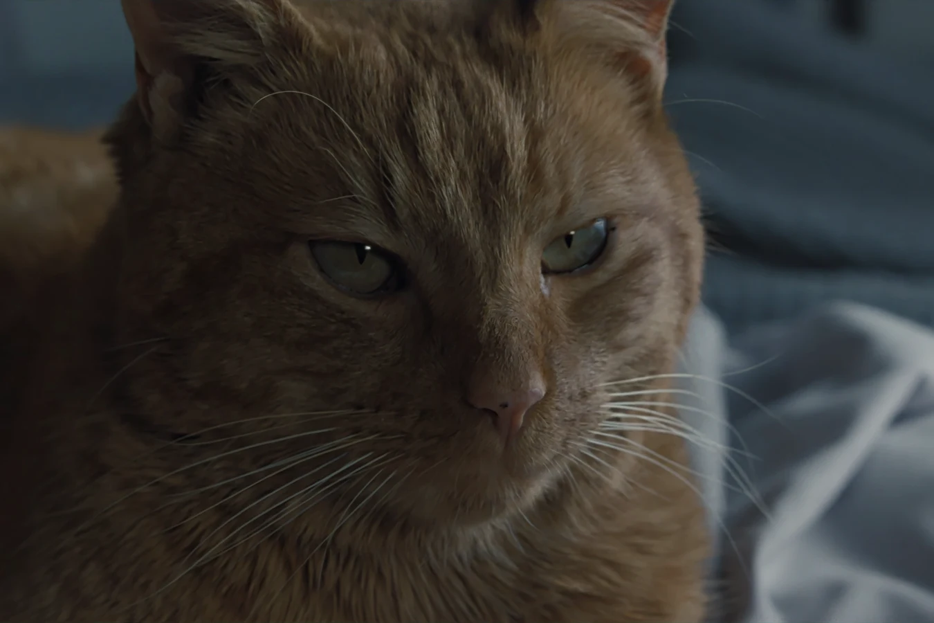 Close-up of Jones looking toward the camera