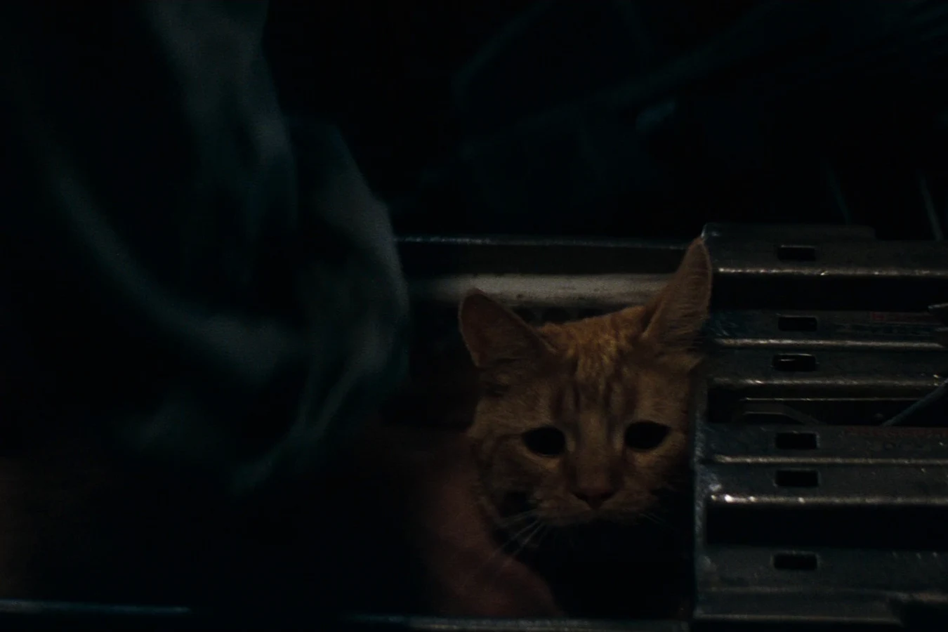 Ripley putting Jones into his carrier
