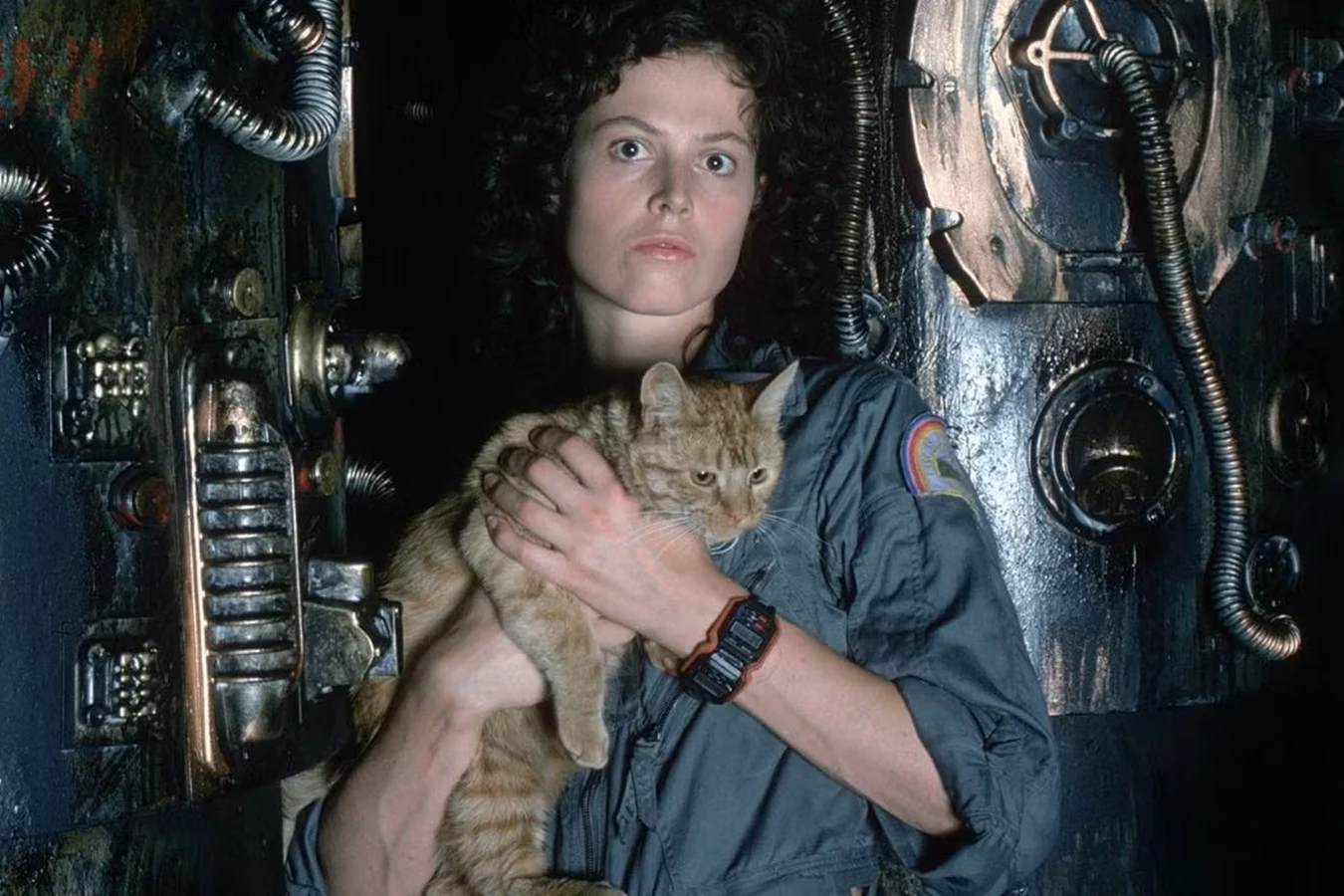 Sigourney Weaver holding the cat who played Jones on the Nostromo set