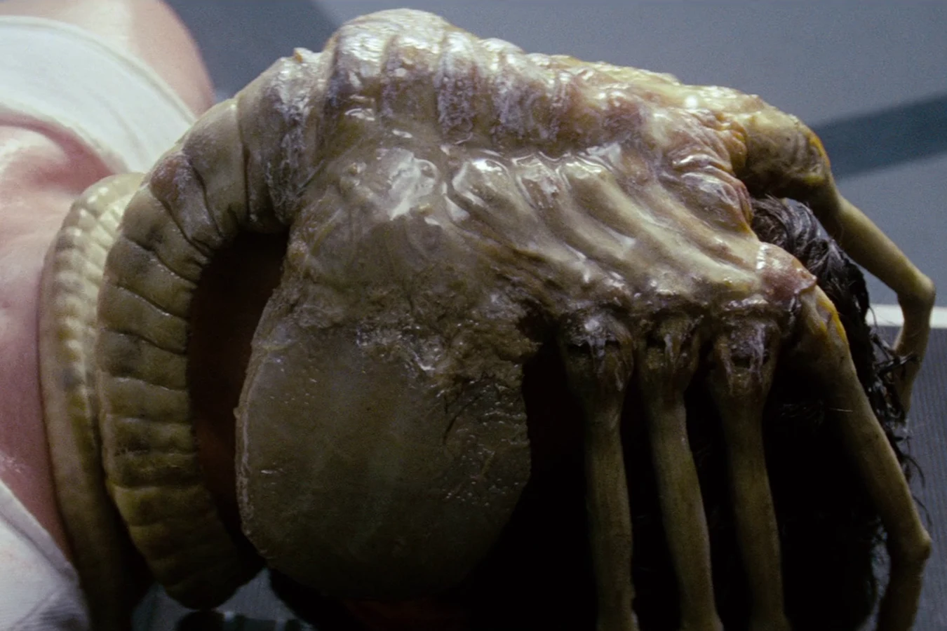 A Facehugger locked onto Kane's face in the Nostromo infirmary