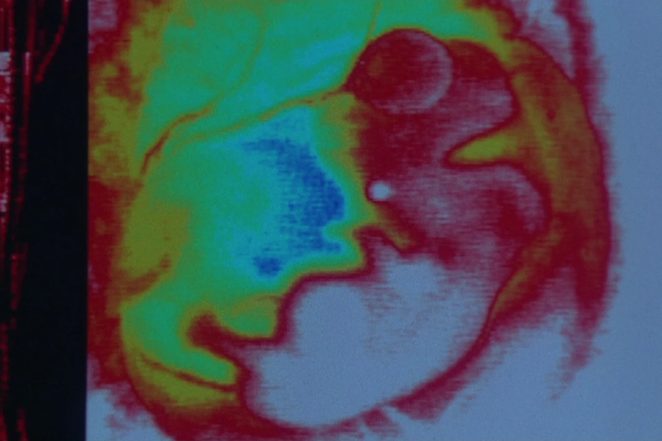 City Hunter thermal scan of Leona Cantrell showing her pregnancy in Predator 2
