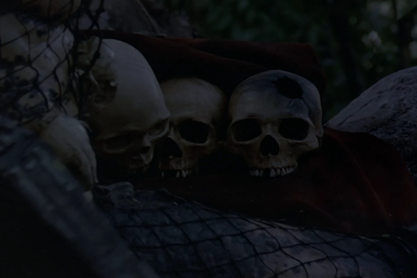 Mac Eliot's skull among the Jungle Hunter's trophies, marked by the plasma wound, in Predator