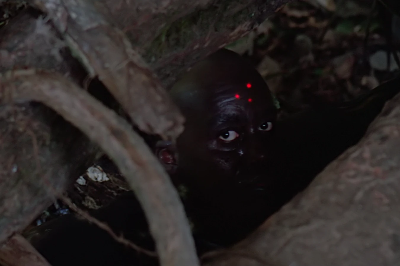 The Jungle Hunter's laser sight locked on Mac Eliot's forehead in Predator