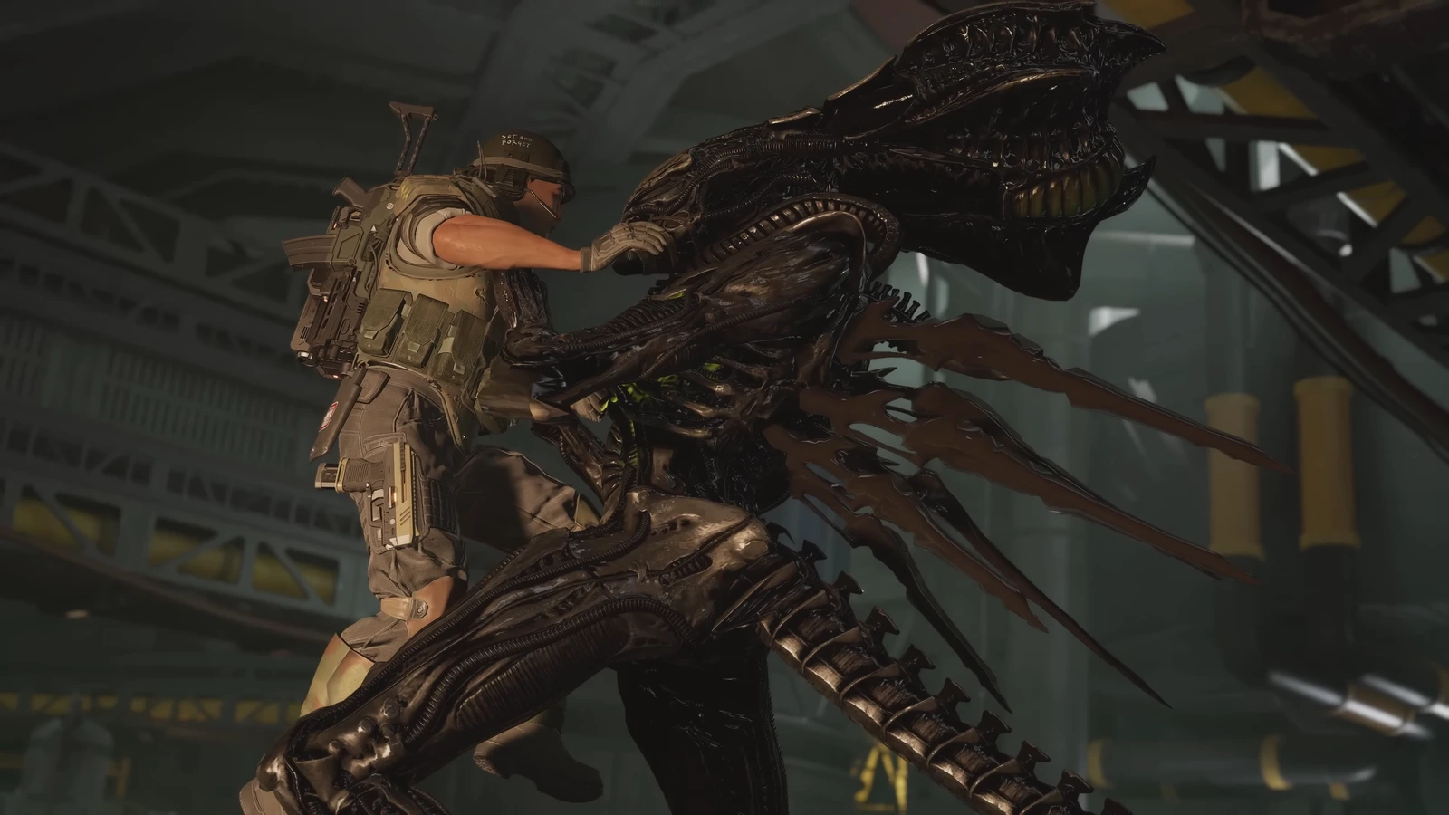 Machinist class Marine grappling a Praetorian in Aliens Fireteam Elite 2