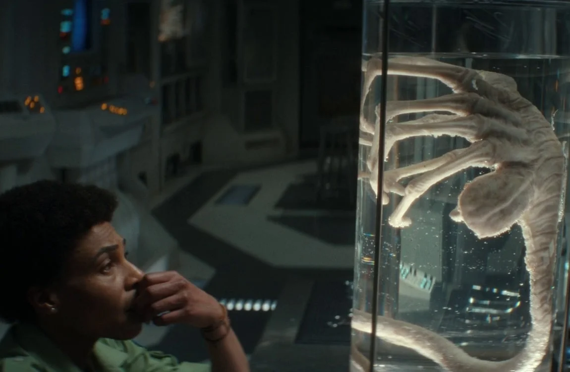 A Facehugger in containment