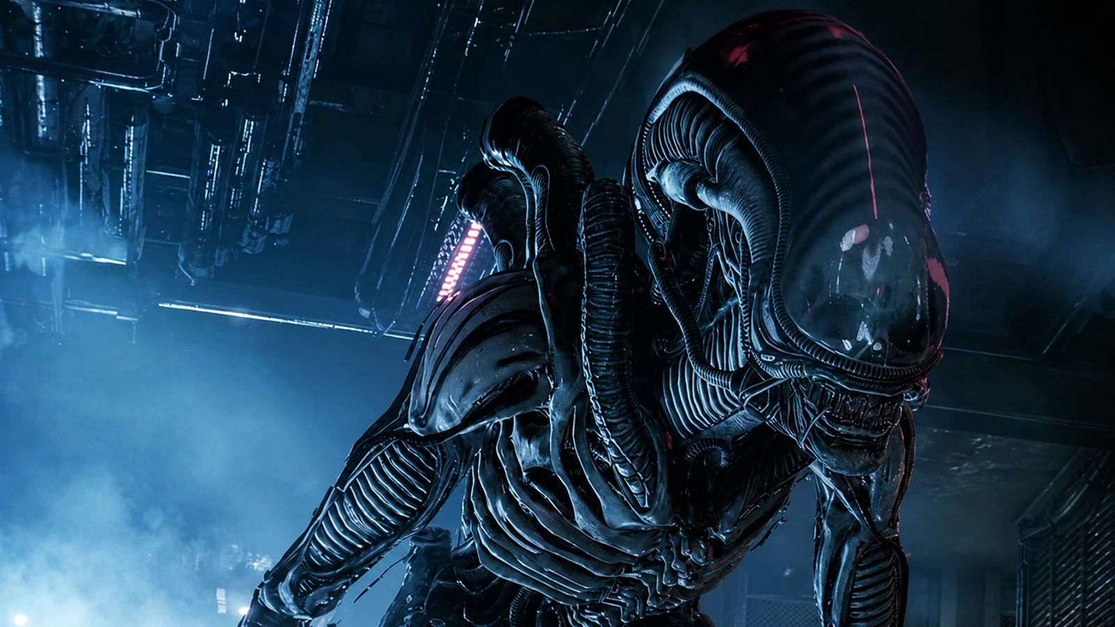 Monica the Pathogen-striped Xenomorph Drone in a dark industrial corridor