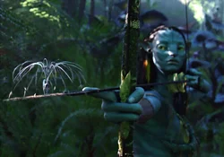 The Na'vi bow being used by Neytiri in Avatar