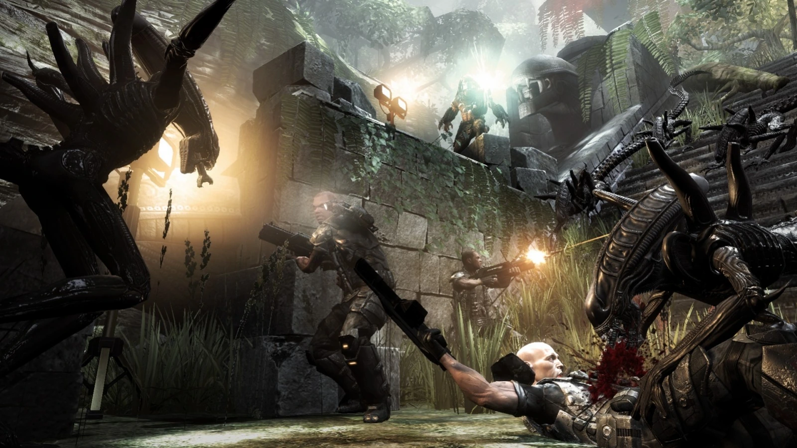 A wallpaper for Aliens vs. Predator 2010