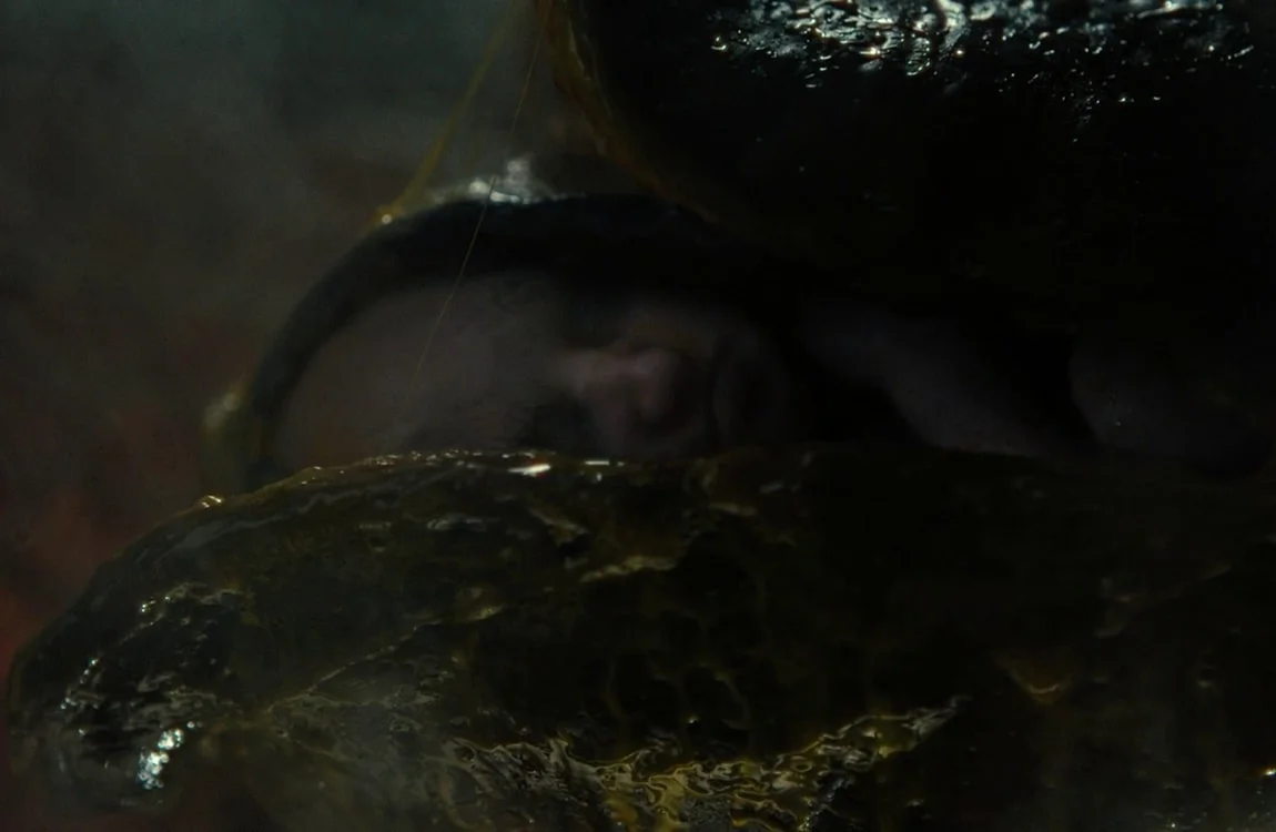 The Offspring baby in the cocoon