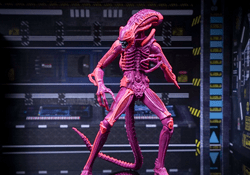 A Pink Xenomorph by NECA
