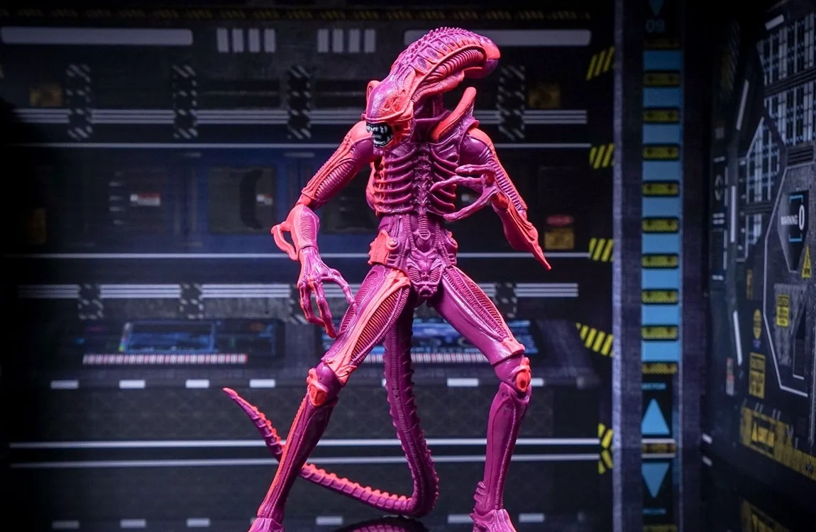 A Pink Xenomorph By NECA Toys