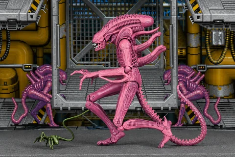 A Pink Xenomorph from Aliens: The Arcade Game