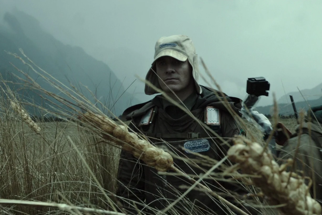 Lopé in the wheat field on Planet 4