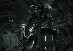 The Praetorian Xenomorph from Aliens: Fireteam