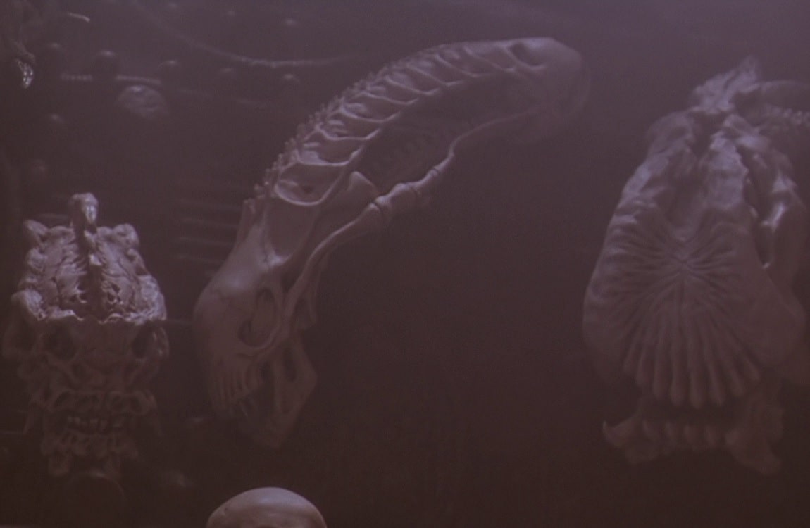 The Xenomorph skull in the trophy wall in the Lost Tribe ship