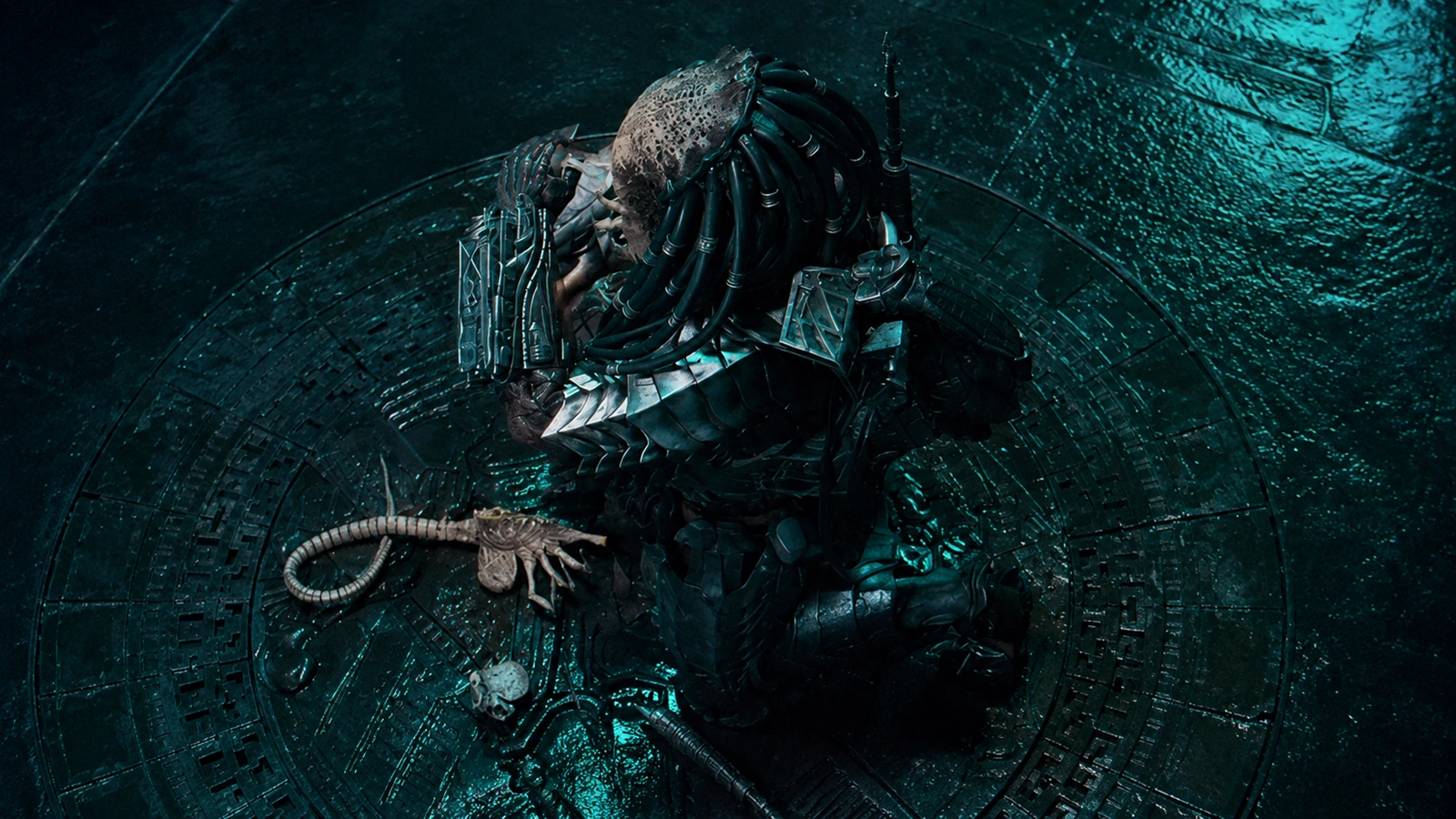 Scar Predator during the Blooding Ritual