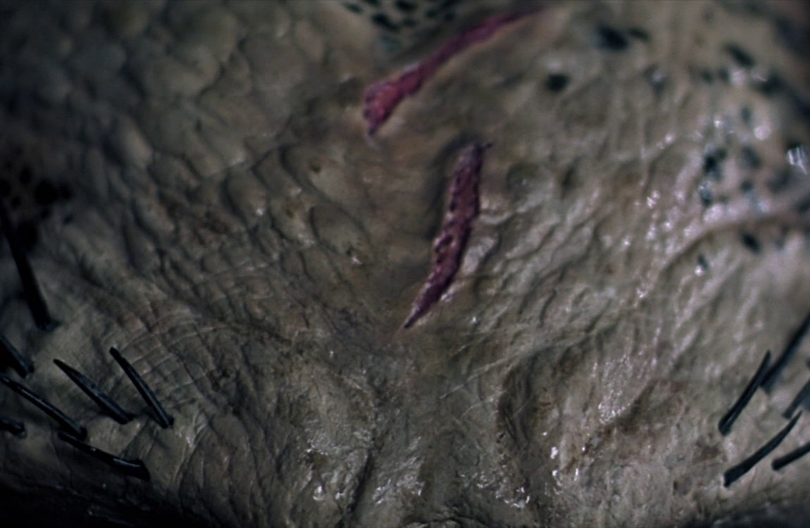 The blooded forehead of the Scar Predator in Alien vs. Predator