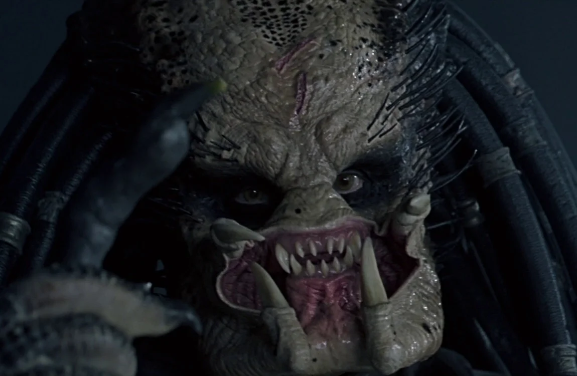 The flappy cheeks of Scar Predator