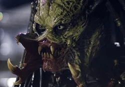 The face of the Wolf Predator