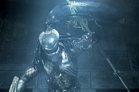 The Predator Honor Code