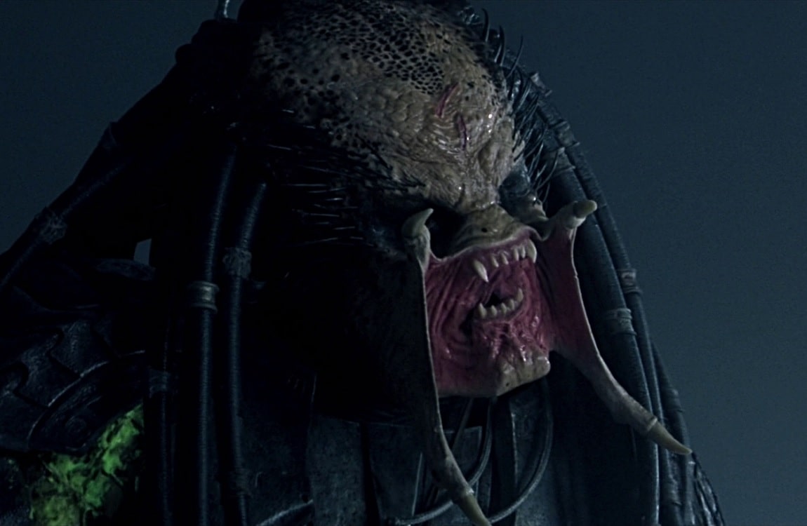 Scar Predator communicates with mandibles