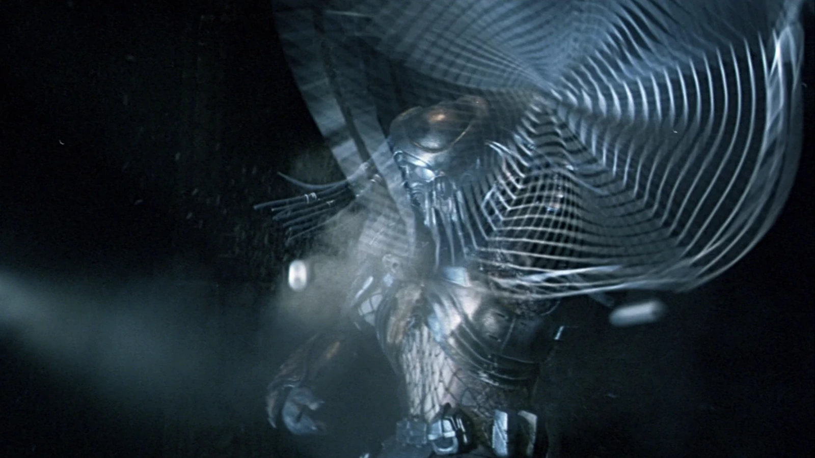 The Netgun of the Celtic Predator