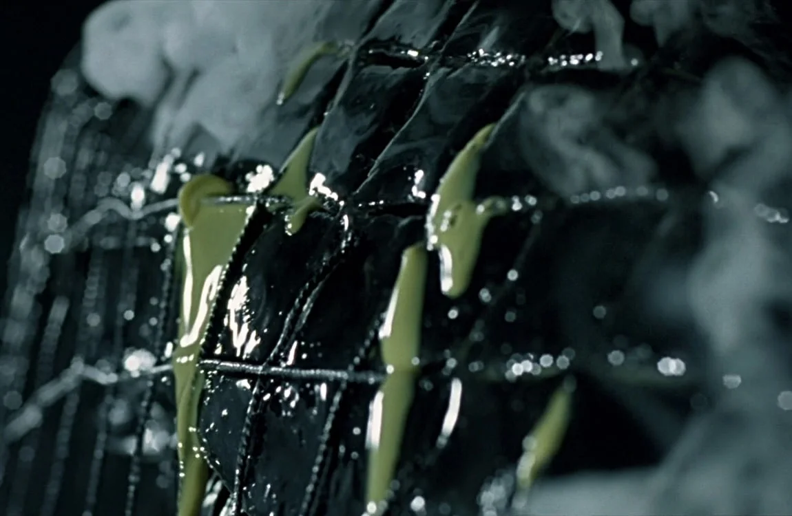 Grid Alien is caught in the Predator's net