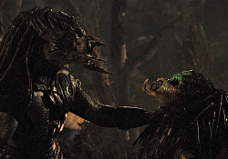 A Predator fighting another Predator