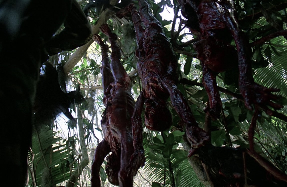 Hanged bodies from Predator