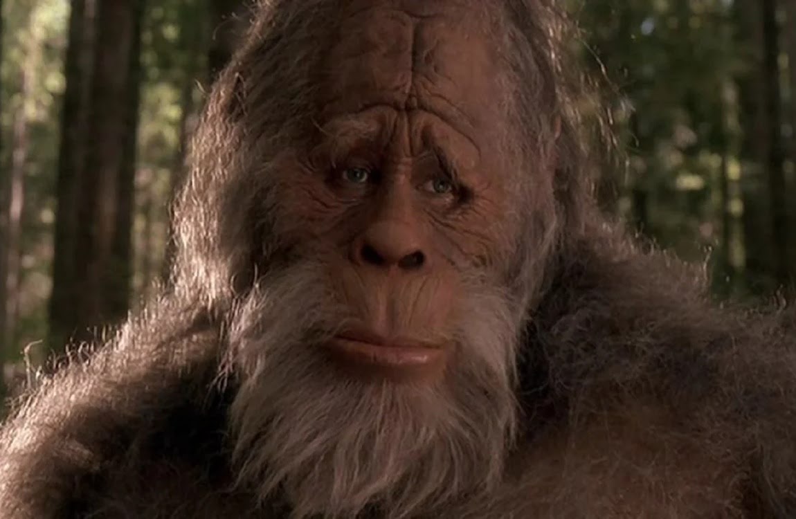 Harry from Harry And The Hendersons