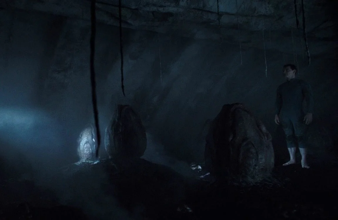 Protomorph Eggs with David