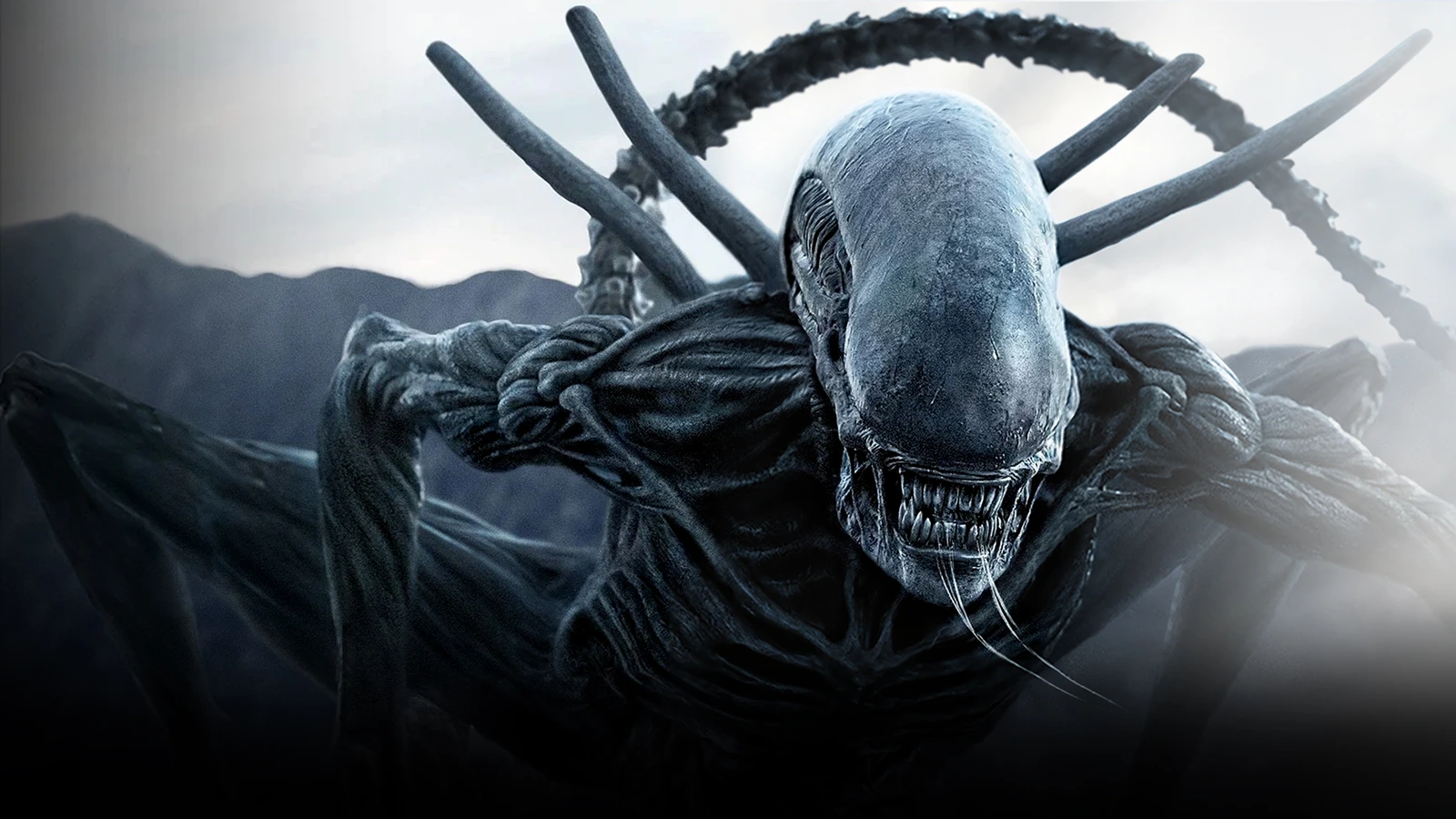 The Protomorph/Praetomorph from Alien: Covenant