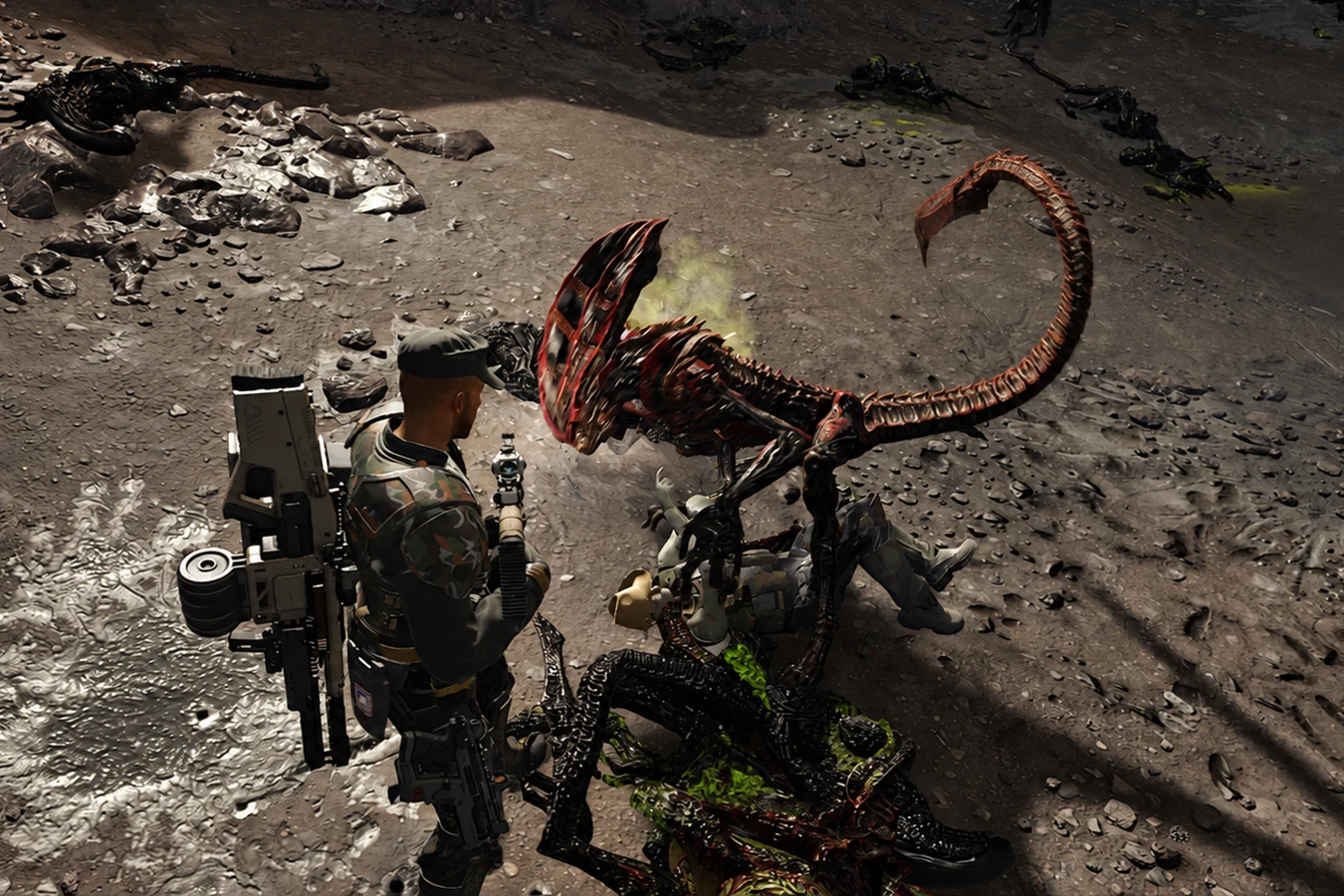 Prowler Xenomorph pinning a Colonial Marine on rocky ground in Aliens: Fireteam Elite