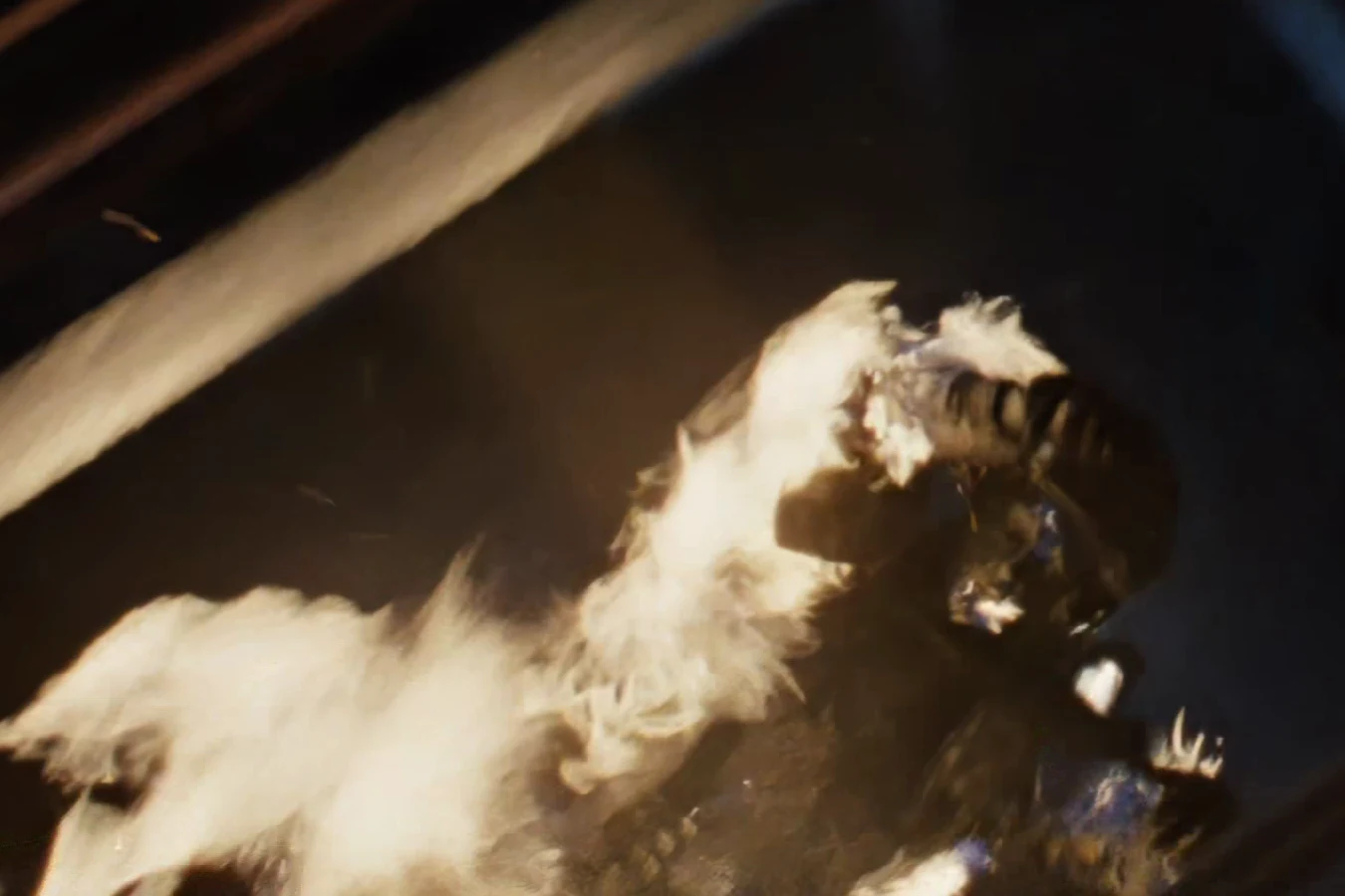 Frost falling through the Hadley's Hope hive after Dietrich's flamethrower sets him on fire in Aliens