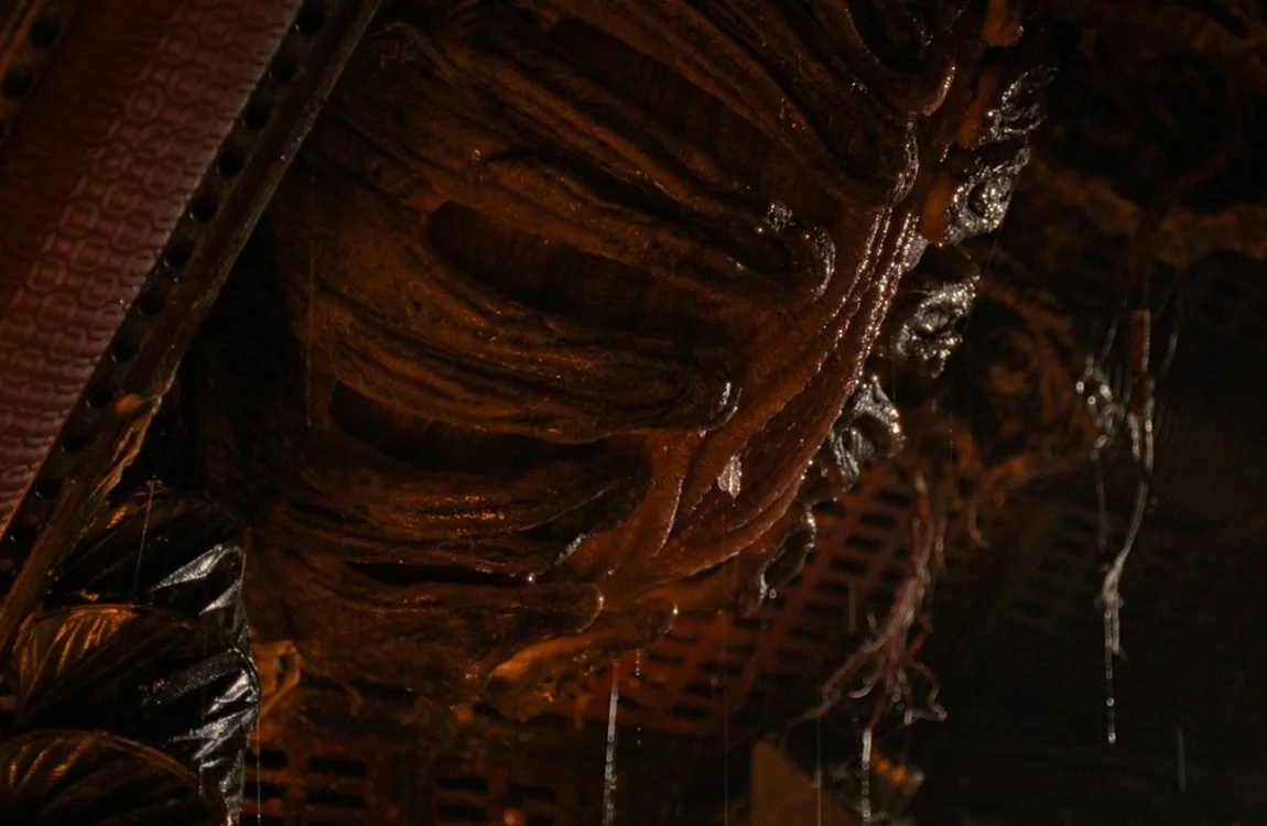 The Cocoon stage from Alien: Romulus
