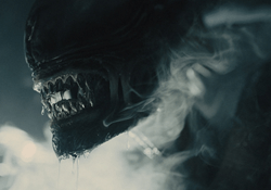 The Xenomorph from Alien Romulus