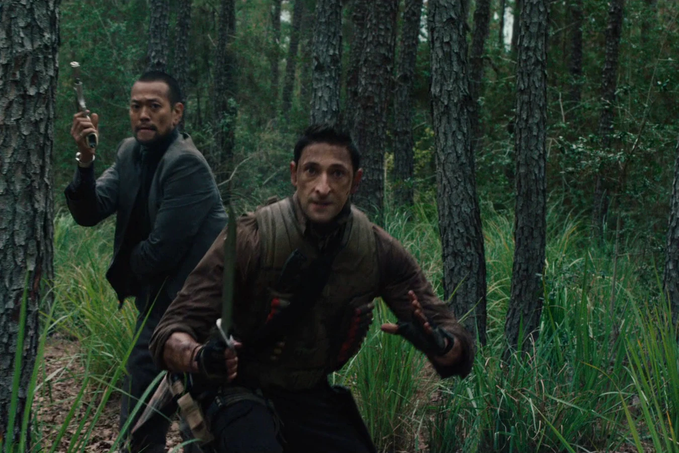 Royce running through a forest of tall trunks with Hanzo behind him
