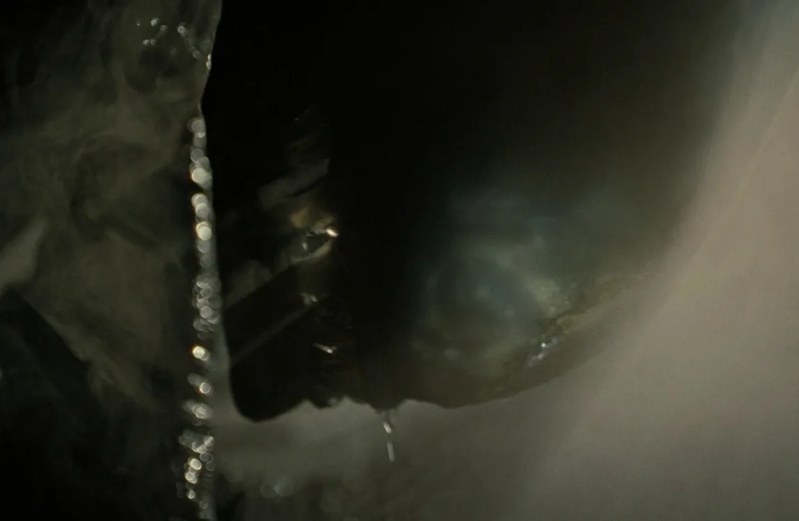 The Scorched Xenomorph showing its Drone-like body structure