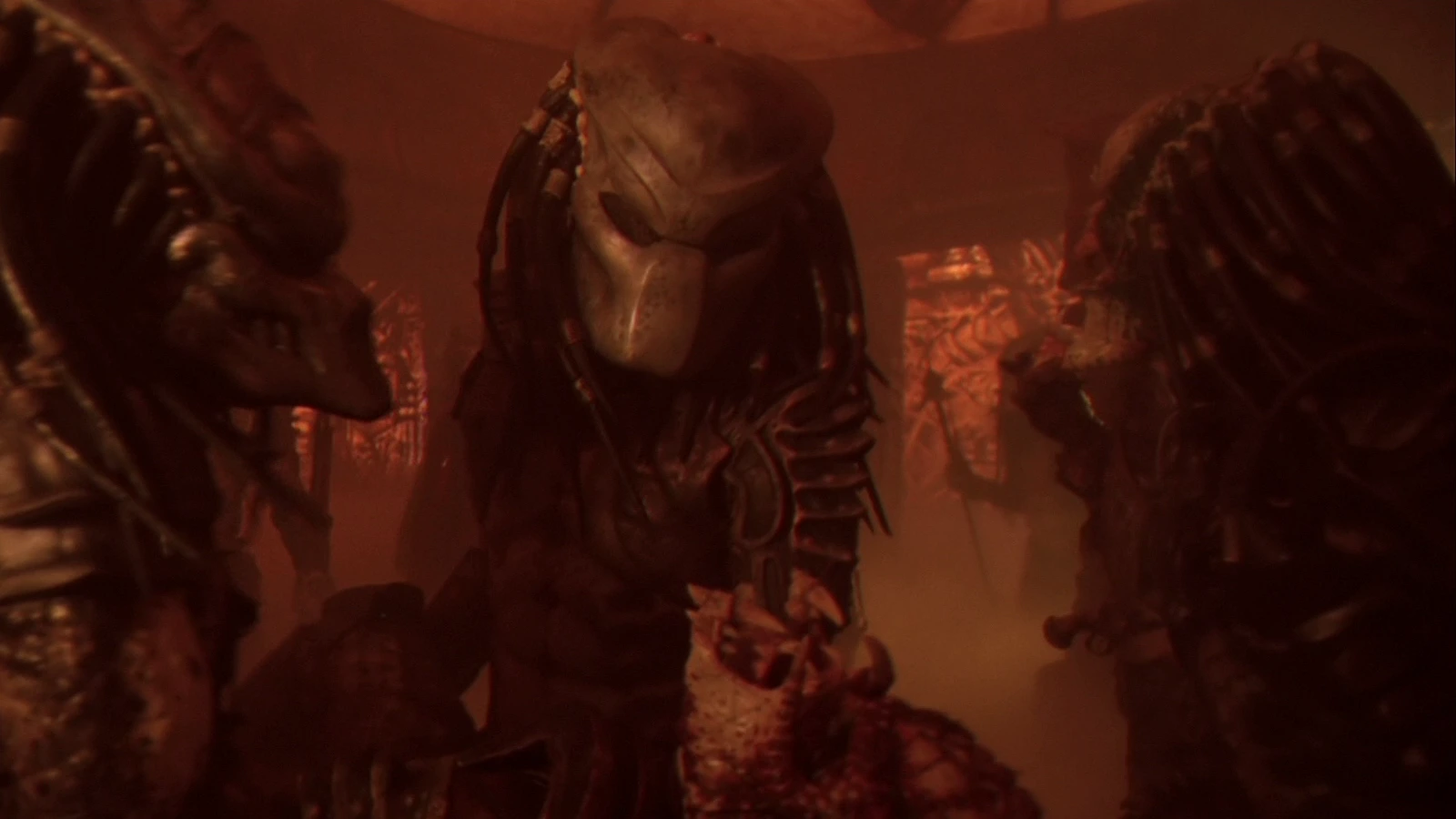 The Scout Predator NECA cover