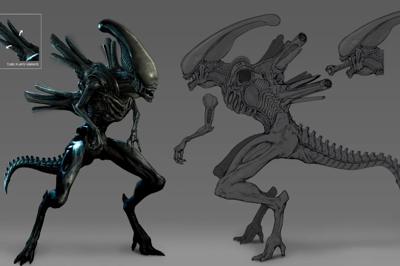 Concept model and schematic of the Siren Xenomorph with vibrating dorsal-tube flaps