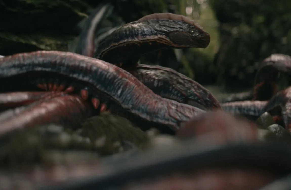 Multiple spray snakes in squirt canyon