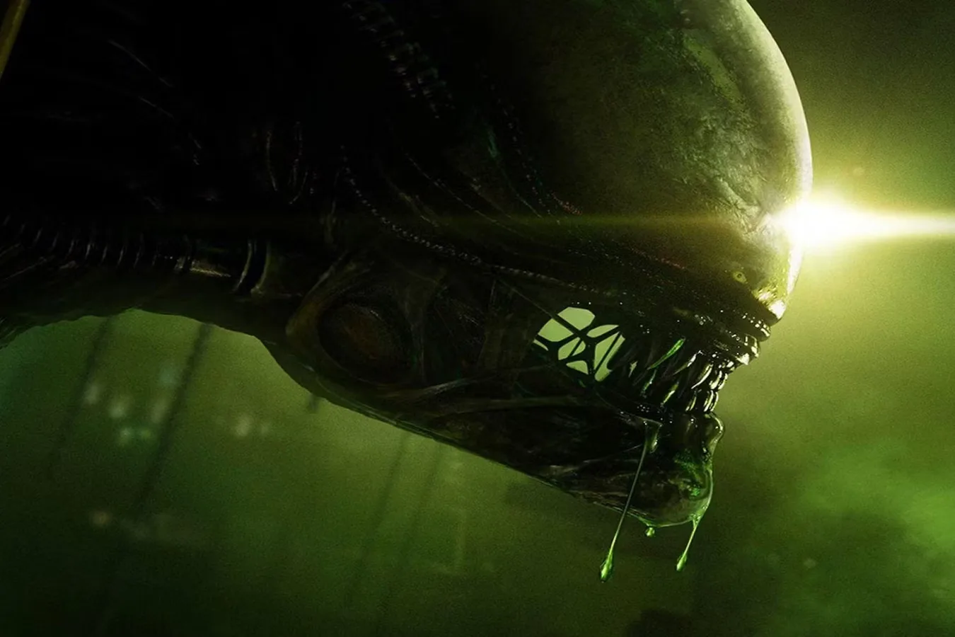Close-up of Stompy's domed head in Alien: Isolation