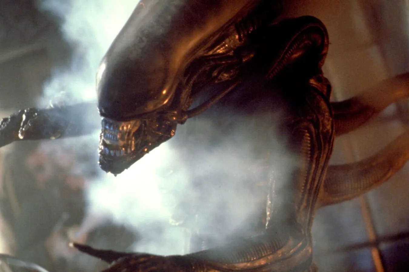 The Xenomorph lineage connecting the Nostromo and Alien: Isolation