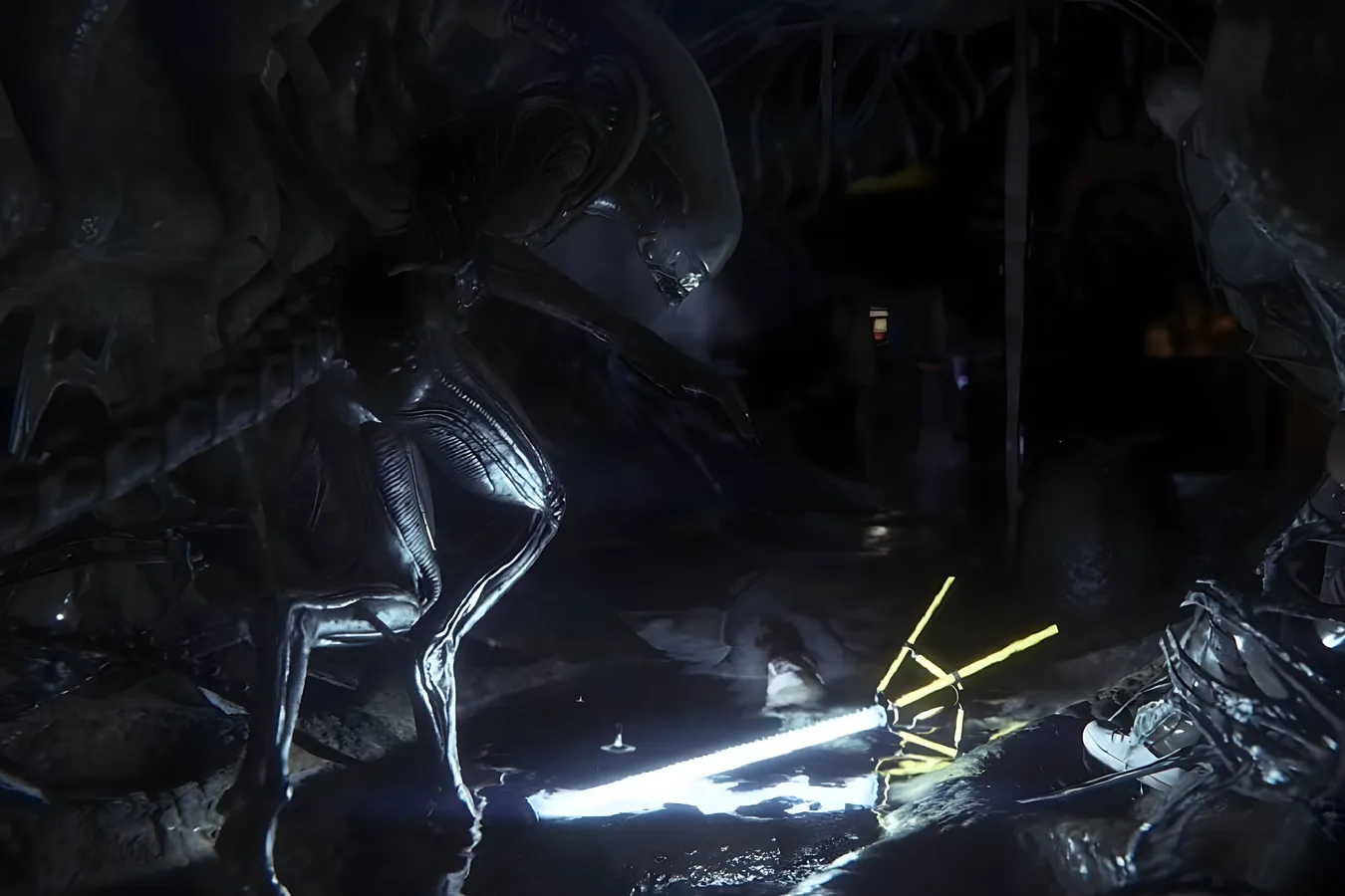 A Xenomorph inside the Sevastopol Station hive