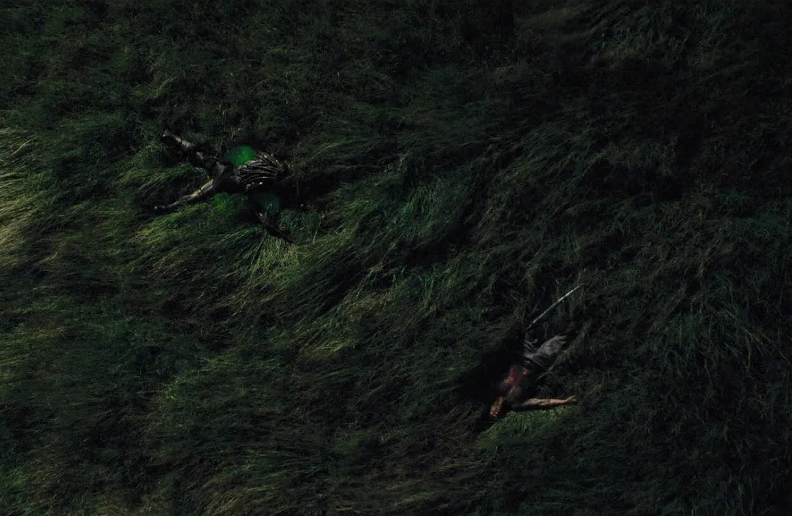 The spot where the Falconer Predator died