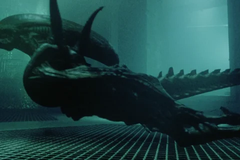 The cloned Xenomorphs swimming in Alien: Resurrection